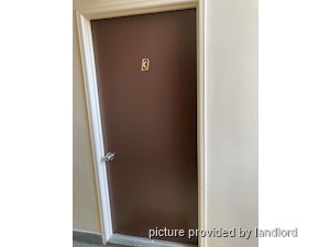 Image ViT 241792