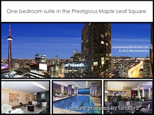 1 Bedroom apartment for rent in TORONTO