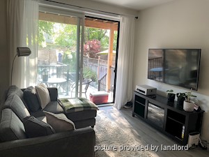 Image ViT 241826
