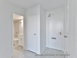 Image ViT 241831