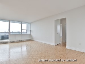 Image ViT 241838