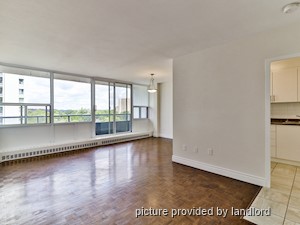 Image ViT 241844