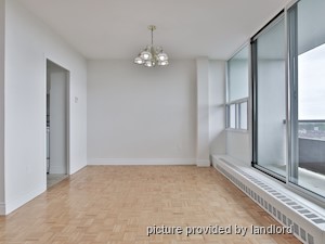 Image ViT 241846