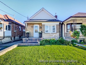 Image ViT 241877
