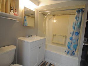 1 Bedroom apartment for rent in TORONTO