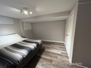 Image ViT 242035