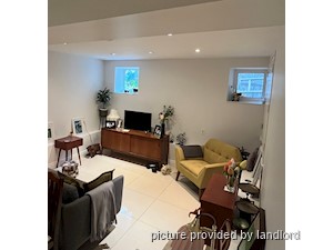 Image ViT 242056