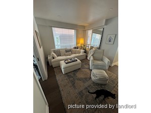 Image ViT 242069