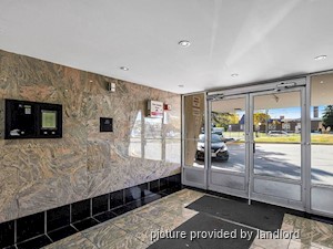 Image ViT 242106