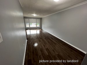 Image ViT 242151