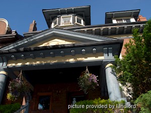 Image ViT 242186
