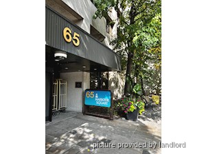 Image ViT 242226