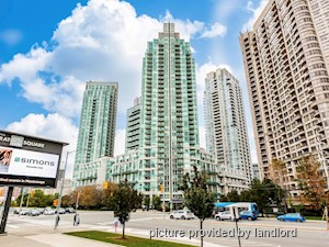 Image ViT 242245