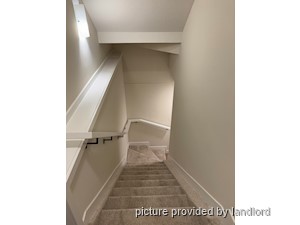 Image ViT 242247