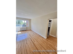 Image ViT 242254