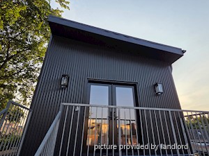 Image ViT 242268