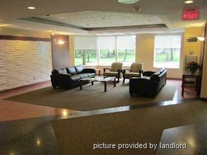 Image ViT 242273