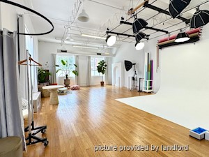 Image ViT 242284