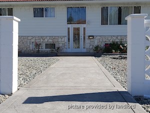 Image ViT 242286