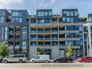 Image ViT 242290