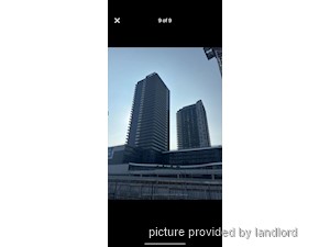 Image ViT 242295