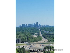Image ViT 242296