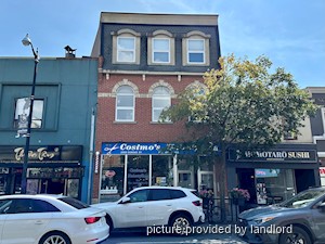 Image ViT 242297