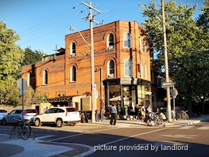 Image ViT 242301