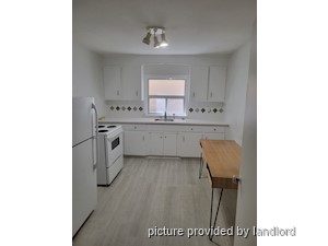 Image ViT 242303