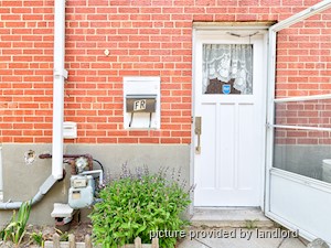 Image ViT 242325