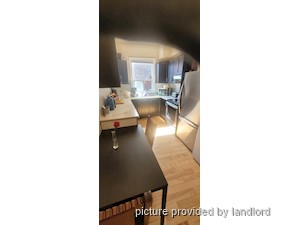Image ViT 242329