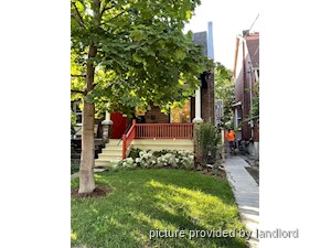 Image ViT 242342