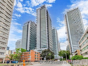 Image ViT 242345