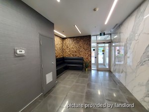 Image ViT 242348