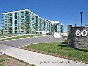 Image ViT 242354