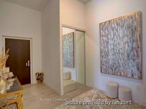Image ViT 242380