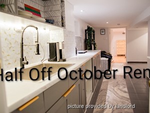 Image ViT 242392