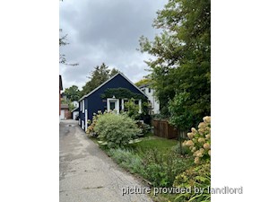Image ViT 242398