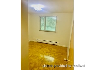 Image ViT 242421
