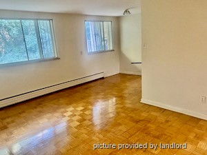 Image ViT 242421