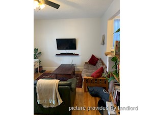 Image ViT 242434