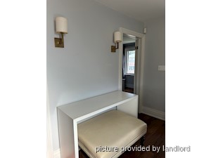 Image ViT 242479