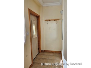 Image ViT 242480