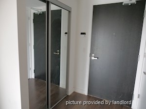 Image ViT 242488