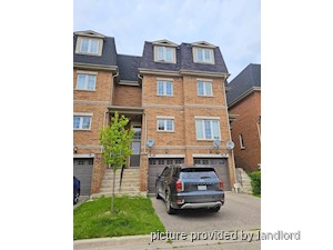 Image ViT 242490