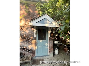 Image ViT 242519
