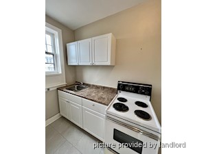 Image ViT 242524