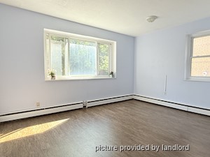 Image ViT 242527