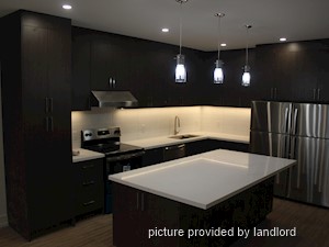 Image ViT 242538