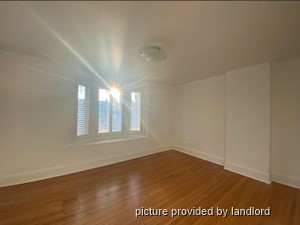 Image ViT 242558